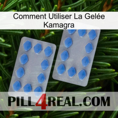 Comment Utiliser La Gelée Kamagra 20